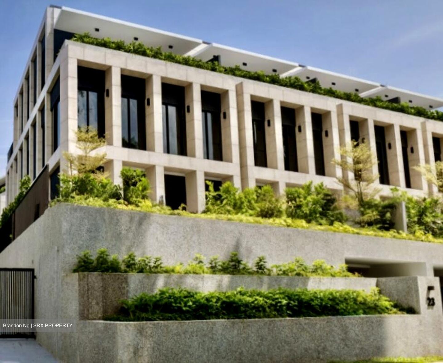 Whitley Road (D11), Terrace #497892871